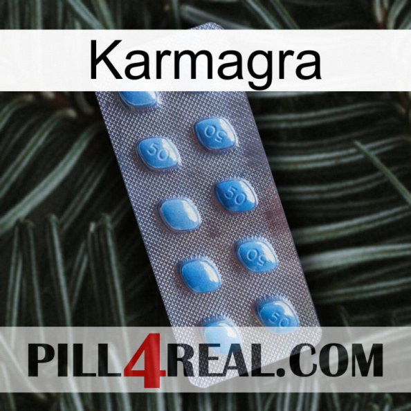 Karmagra viagra3.jpg